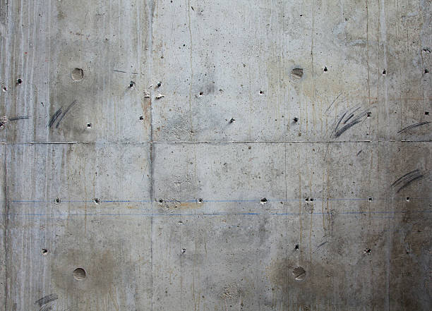 Best Concrete Flooring Contractor  in Picayune, MS